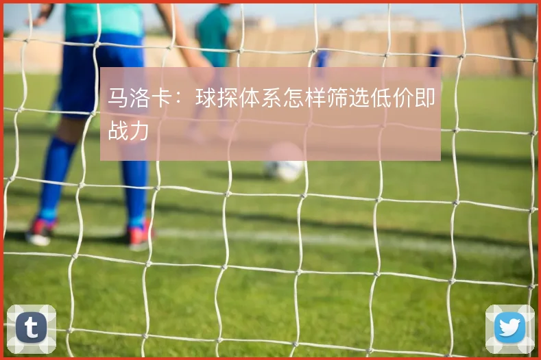 马洛卡：球探体系怎样筛选低价即战力