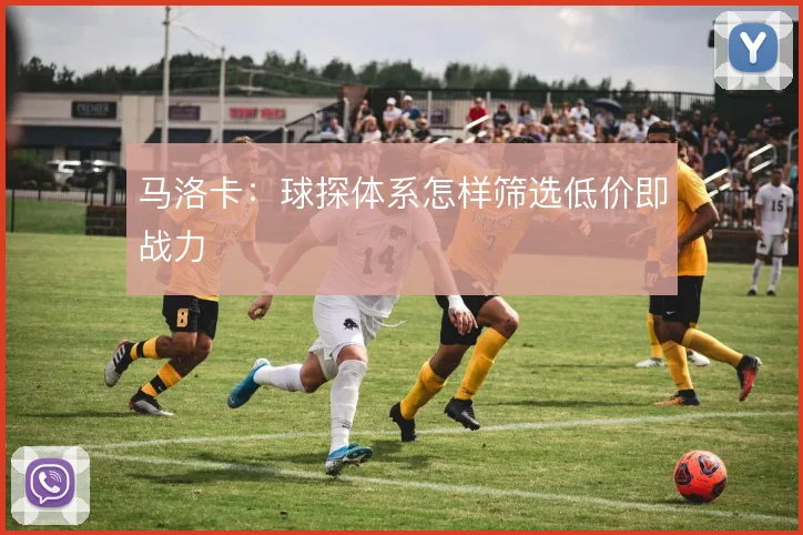 马洛卡：球探体系怎样筛选低价即战力
